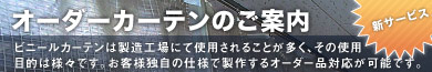 �I�[�_�[�J�[�e���̂��ē�