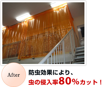 �h�����ʂɂ��A���̐N����80���J�b�g�I